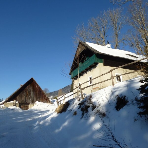 Winter vacation on the alpine pasture