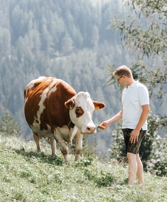 A guest feeds a brown and white cow on a grassy hillside at the farmhouse, with forested mountains in the background.