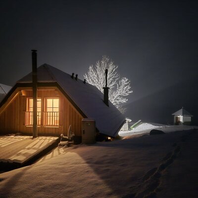 Grünalm Hut