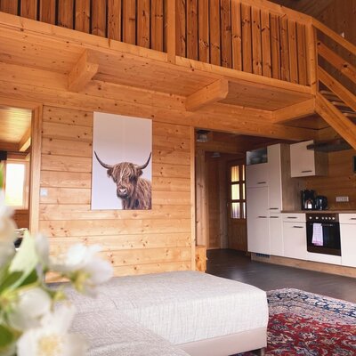Living Room in Apartement Swiss Pine