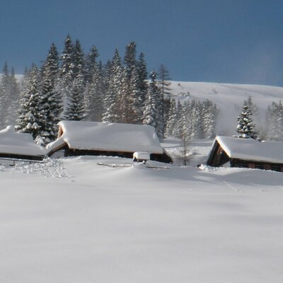 Snow-covered farmhouse buildings nestled among pine trees in a winter mountain landscape.