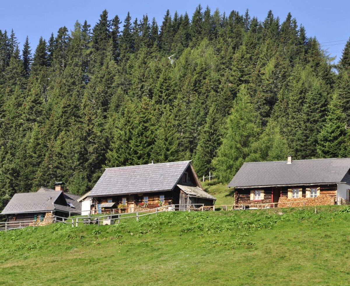 Three farmhouses with wooden exteriors and shingled roofs on a grassy slope, set against a dense forest.
