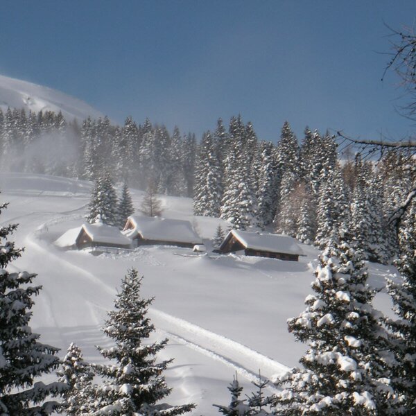 The farmhouse in a snow-covered winter landscape, featuring traditional wooden buildings and pine trees.