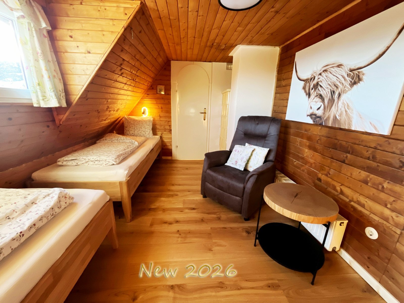 Children's room with two single beds.