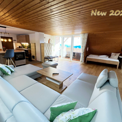 New renovated living room