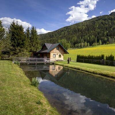 The farmhouse is situated by a stream with a bridge, surrounded by green lawns and forested mountains.