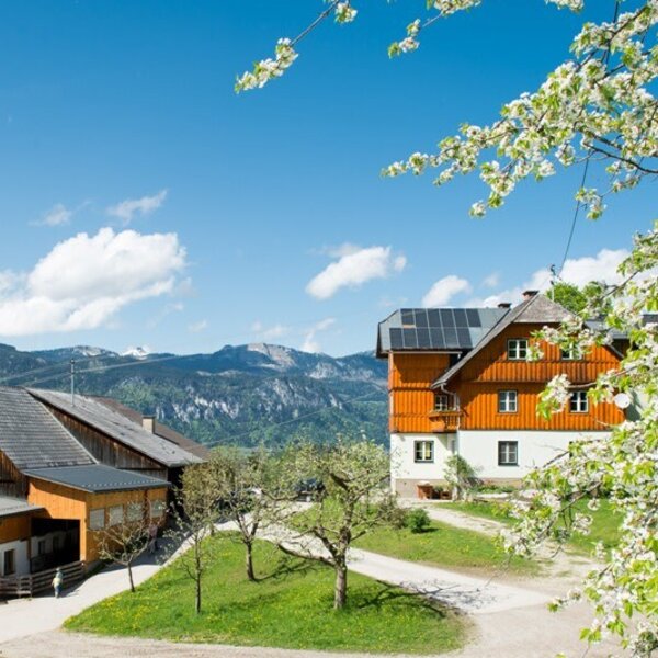 The farm house exterior features traditional wooden buildings, solar panels, and spring blossoms with mountain views.