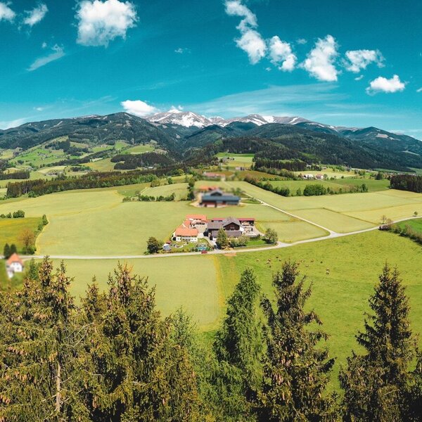 Hacknerhof with surroundings