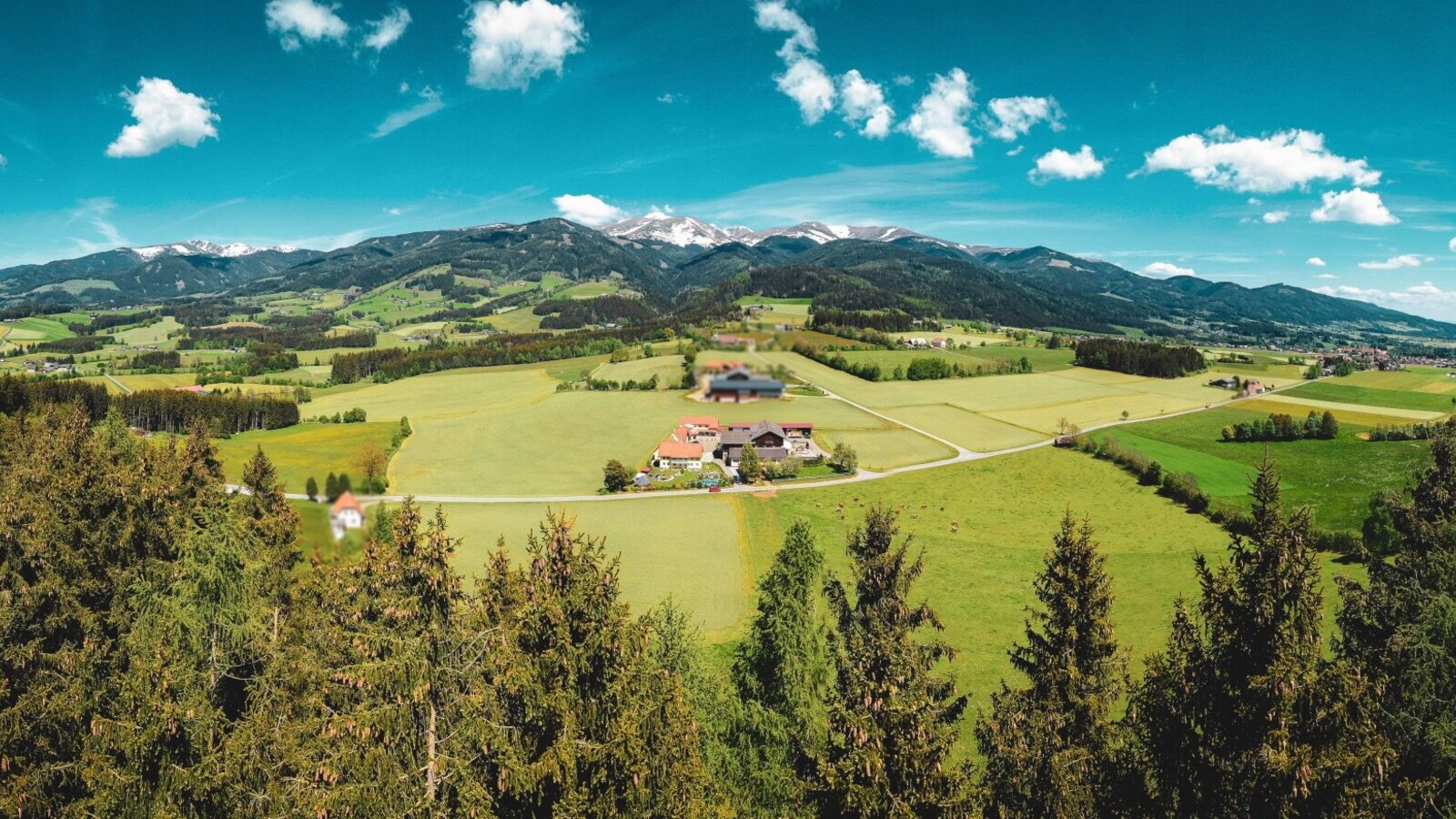 Hacknerhof with surroundings