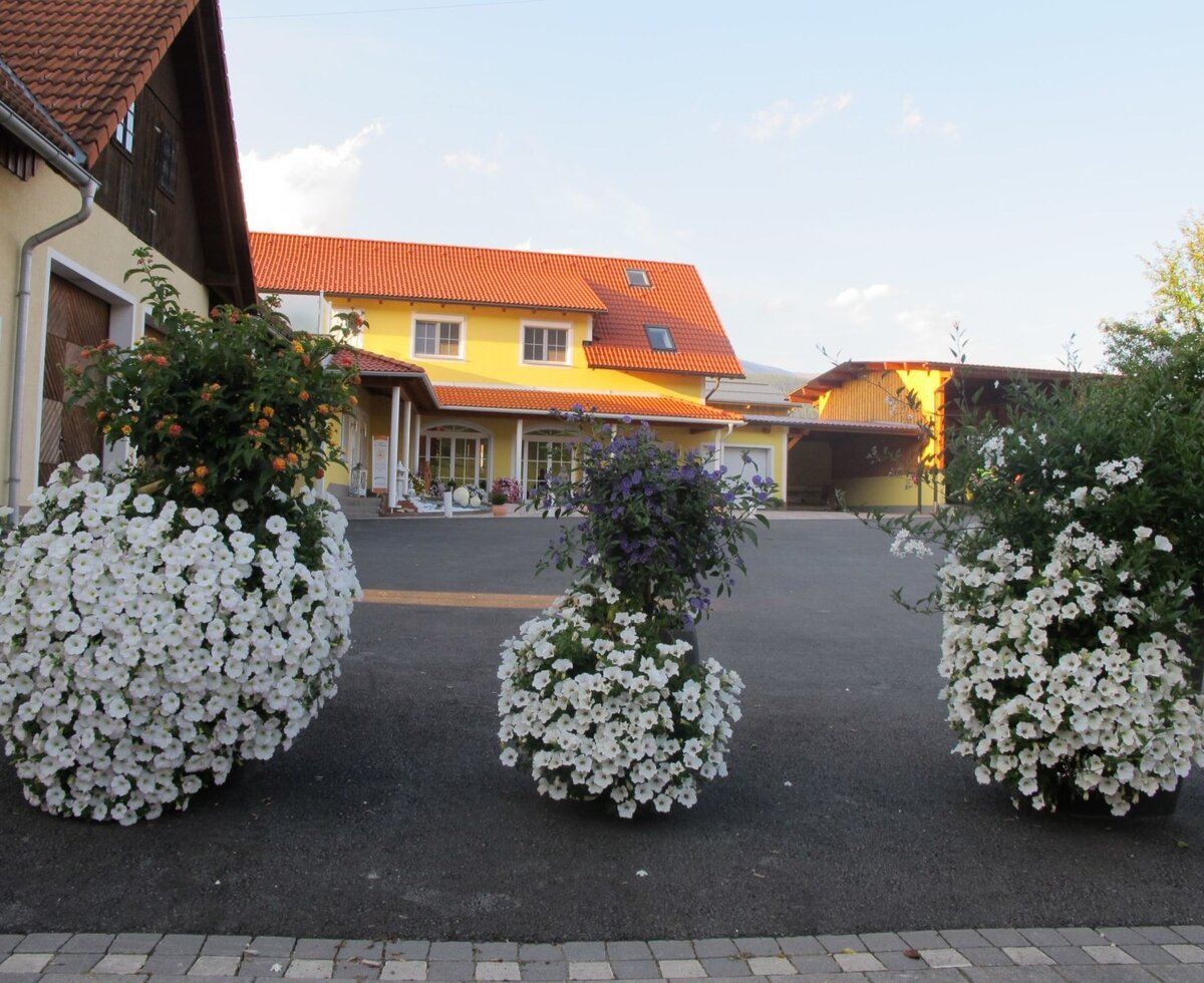 Flowers in the courtyard