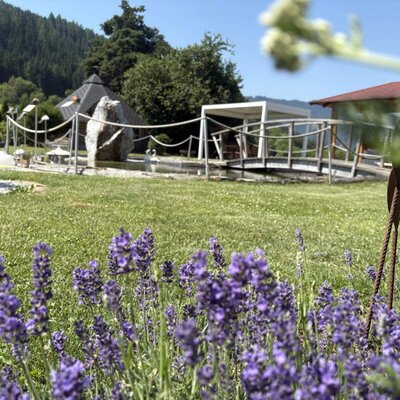 The garden area of the farmhouse with lavender, a pond with a bridge, a pergola, and a gazebo, surrounded by lawn and mountains.
