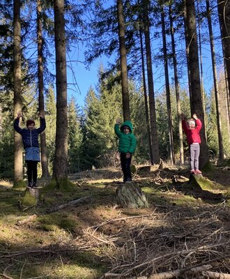 Children playing on tree stumps in the natural forest environment near the farmhouse, offering outdoor recreation opportunities.