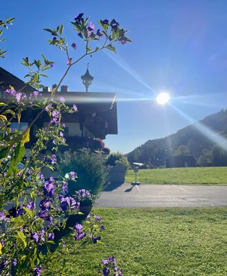 The farmhouse with flowers in the foreground, a green meadow and mountains in the background under bright sunshine.