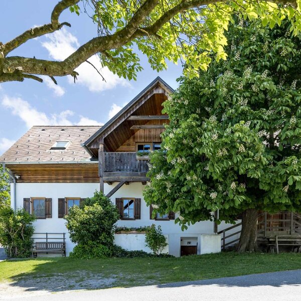 The farmhouse's inviting exterior, featuring traditional wooden elements, a balcony, and a large, leafy chestnut tree on the lawn.
