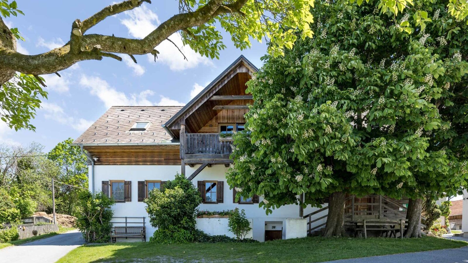 The farmhouse's inviting exterior, featuring traditional wooden elements, a balcony, and a large, leafy chestnut tree on the lawn.