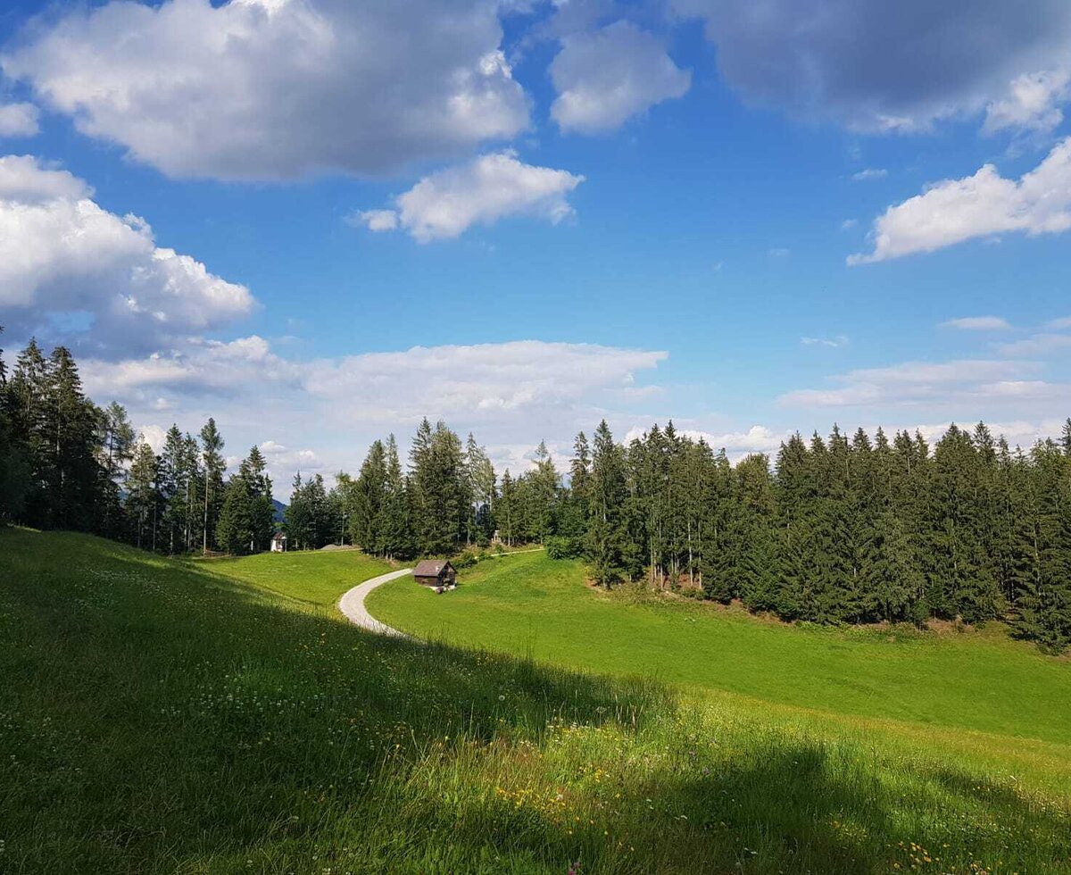 The farmhouse offers views of green meadows, pine forests, and a winding path.
