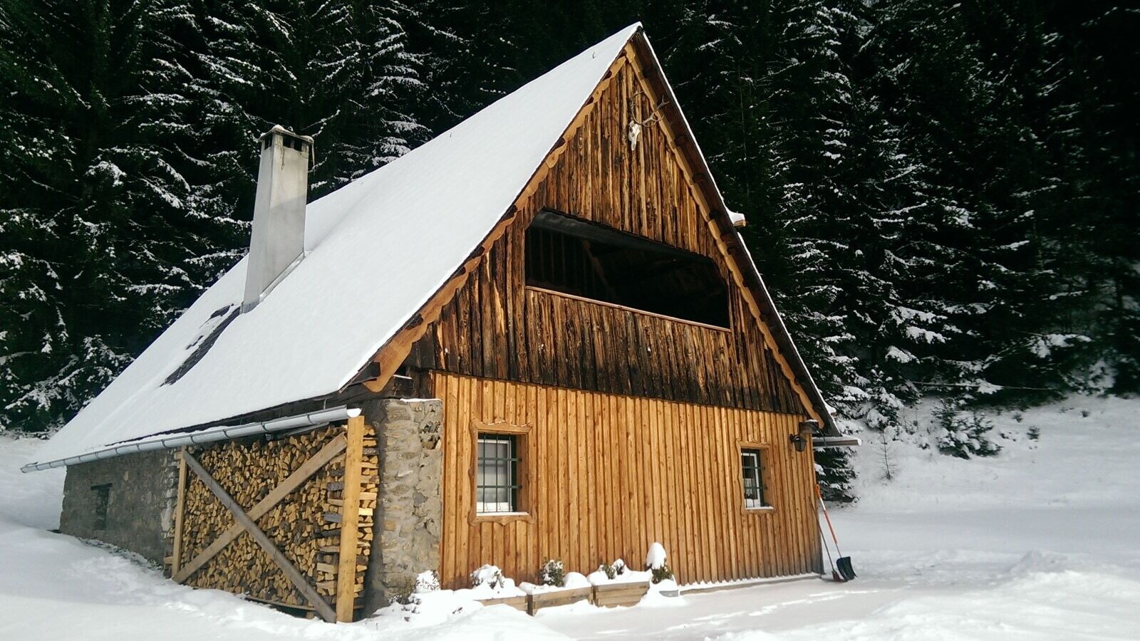 Winter