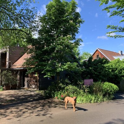 The exterior of the farmhouse, surrounded by trees and bushes, with a dog in the foreground.