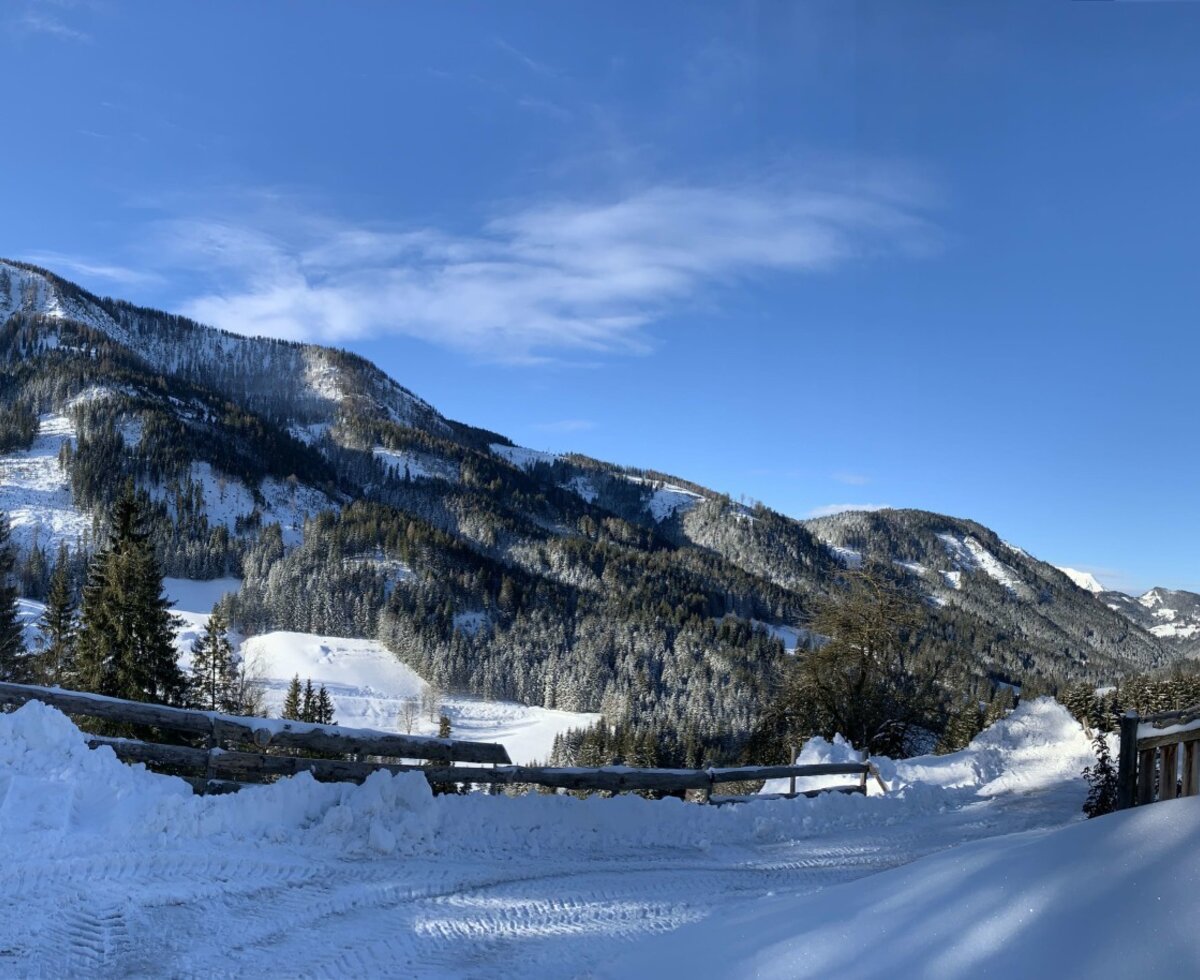 The farm house offers views of snow-covered mountains and fir forests under a clear blue sky.