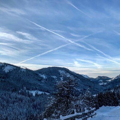 View of the snow-covered mountain landscape with dense pine forests under a clear blue sky.