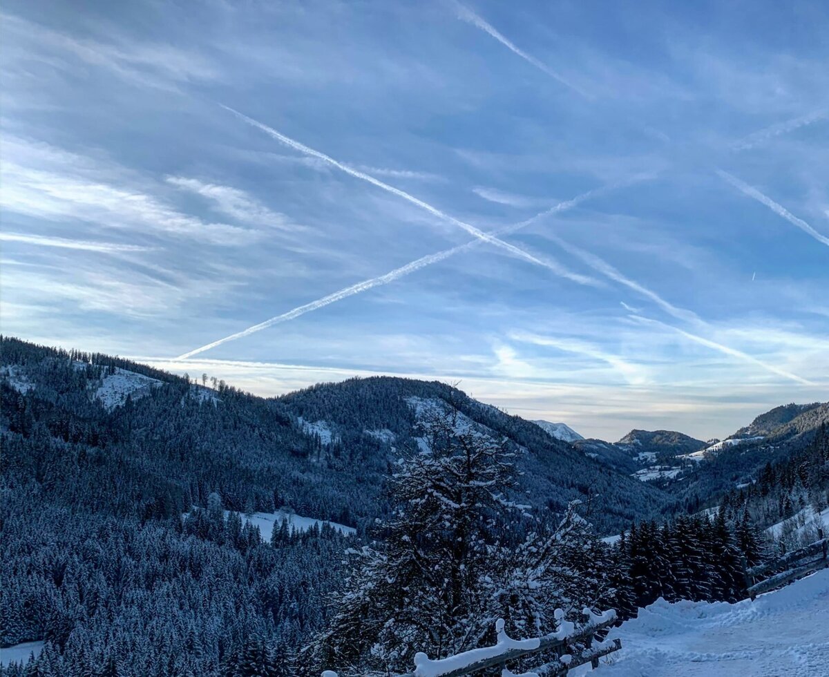 View of the snow-covered mountain landscape with dense pine forests under a clear blue sky.