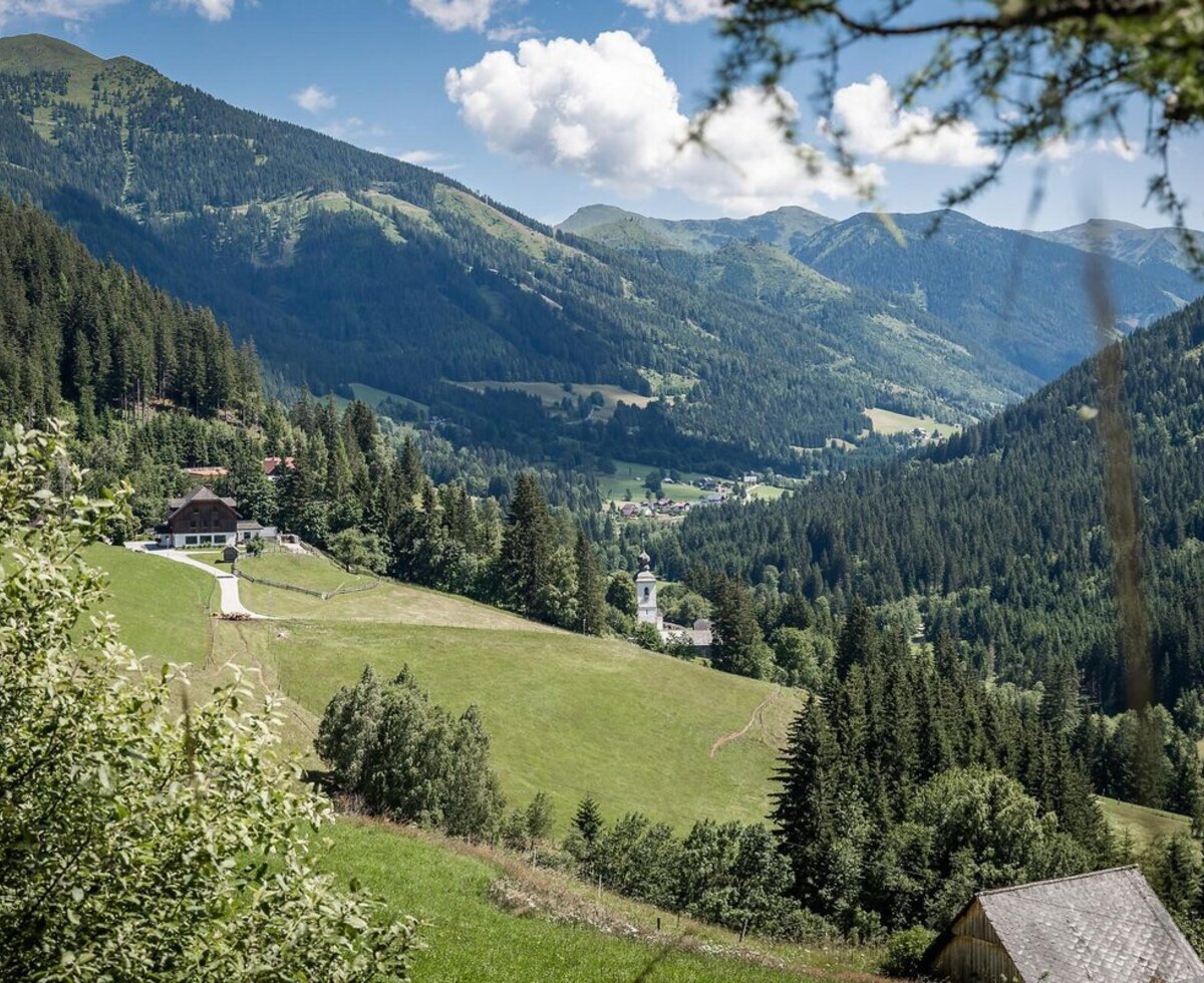 Scenic view from the farmhouse overlooking the lush green valley and surrounding mountains.