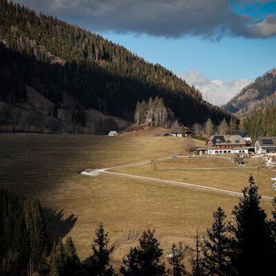 The inviting farmhouse is nestled in a wide, sunlit valley surrounded by dense mountain forests.