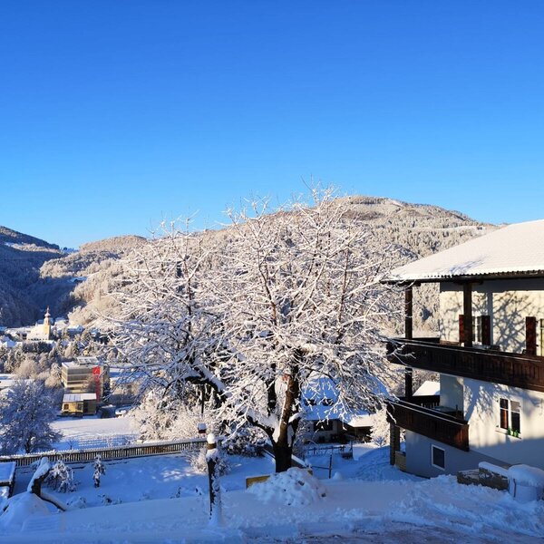 View of the snowy mountains and a village from the farm house balconies and exterior.
