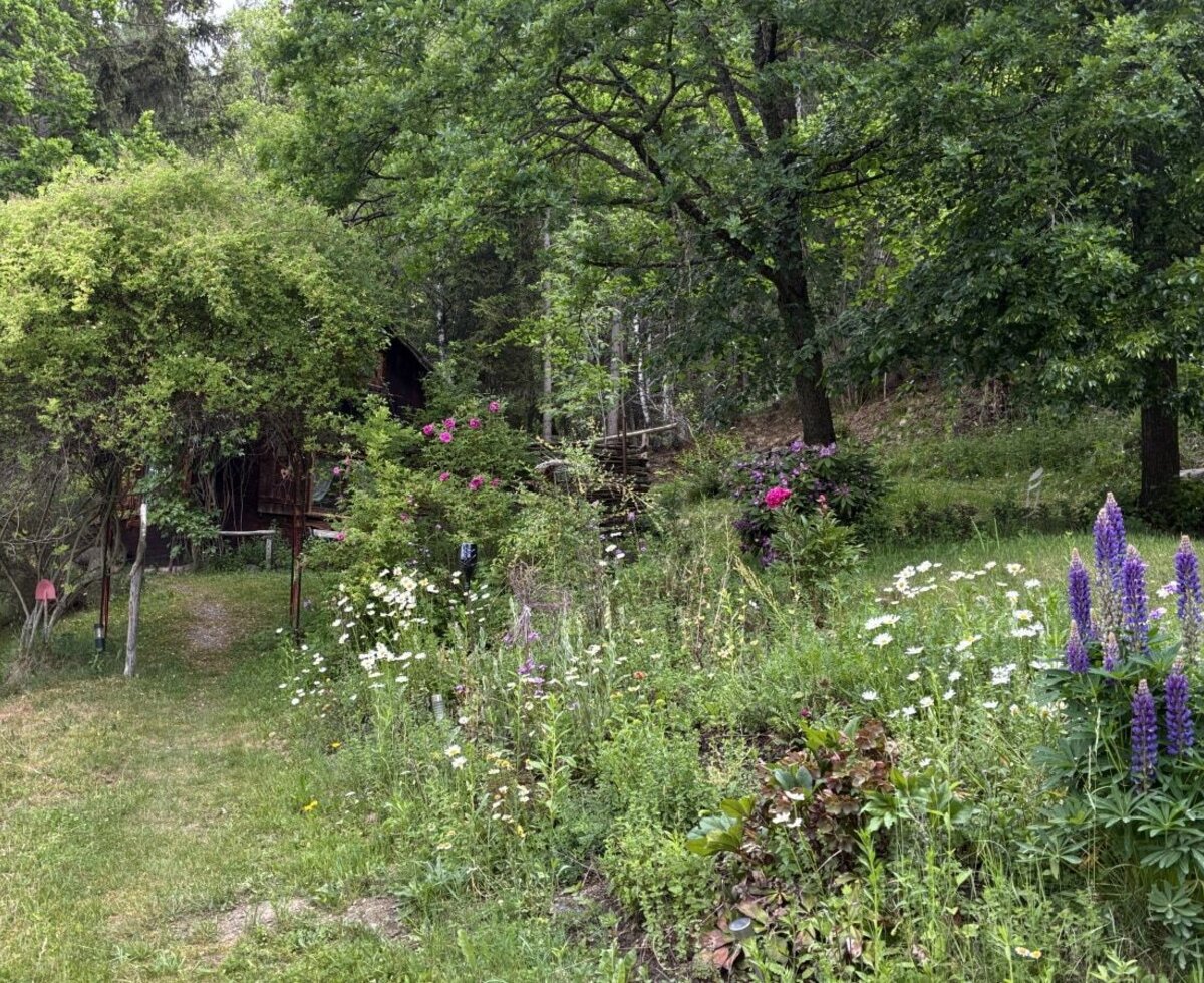 The hut is located at the forest edge, surrounded by a meadow with wildflowers and an access path.