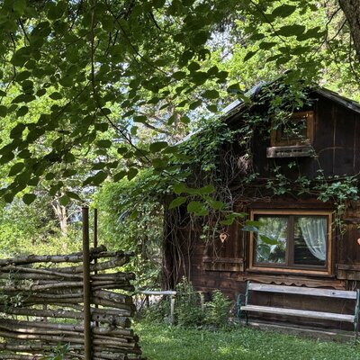 Exterior view of the hut with overgrown wooden walls, a window, and a bench, surrounded by trees.