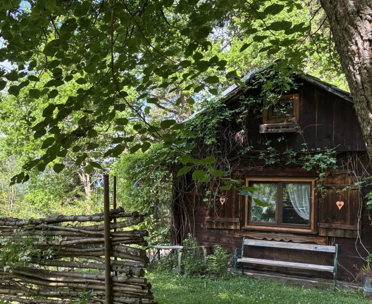 Exterior view of the hut with overgrown wooden walls, a window, and a bench, surrounded by trees.
