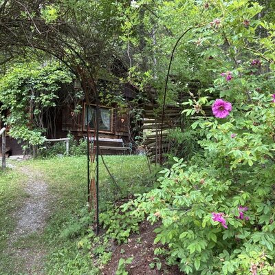 The rustic hut, surrounded by lush greenery and blooming roses, with an overgrown archway over the path to the entrance.