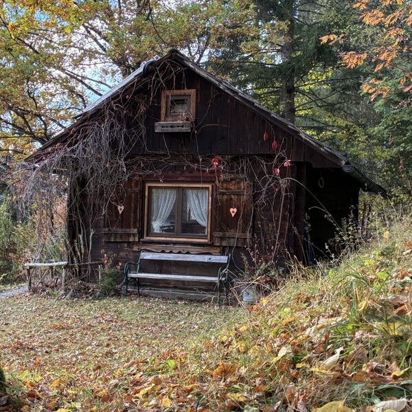 The rustic apartment set in a traditional wooden cabin on a forested hillside with a cozy wooden bench in front.