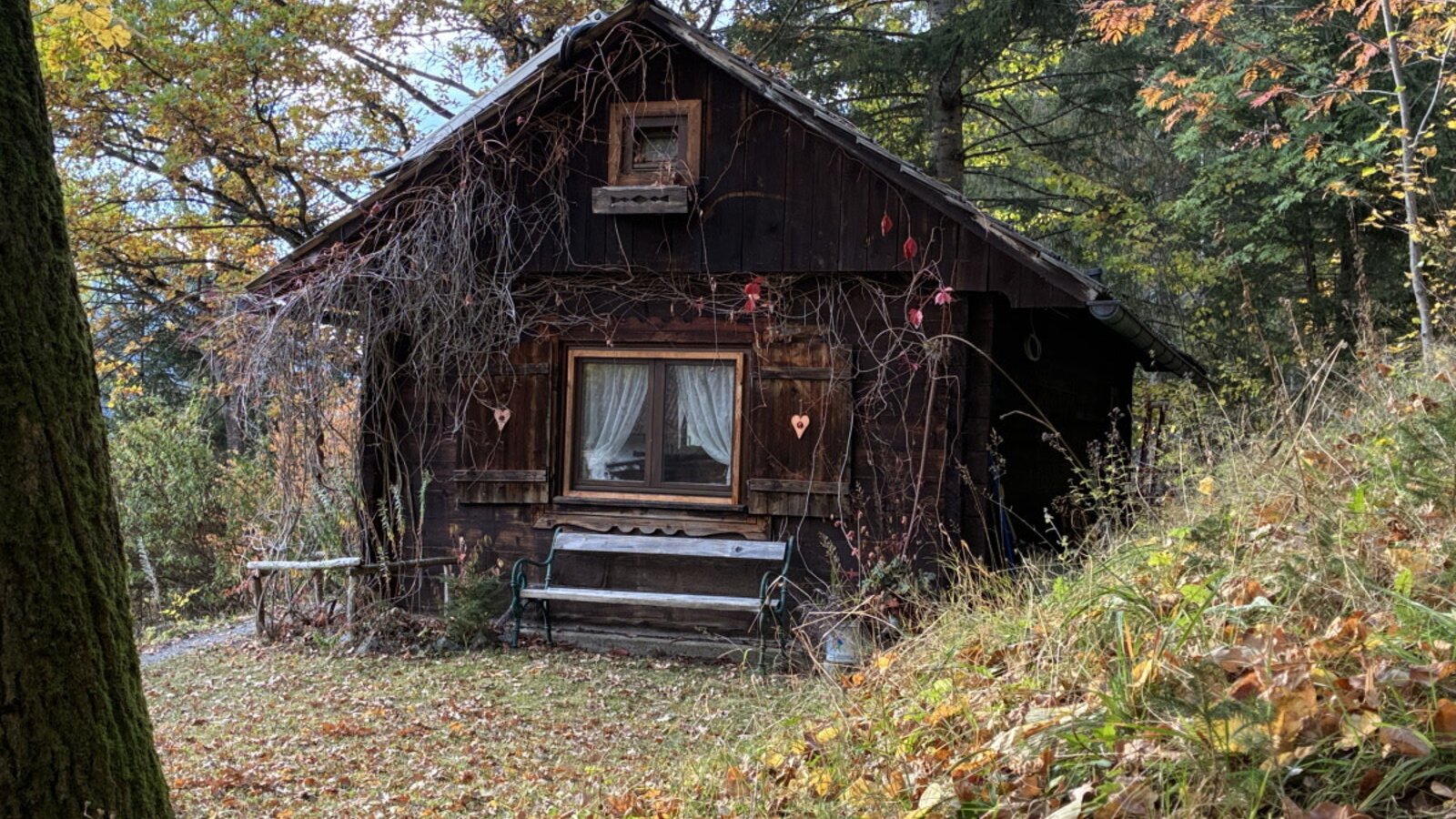 The rustic apartment set in a traditional wooden cabin on a forested hillside with a cozy wooden bench in front.