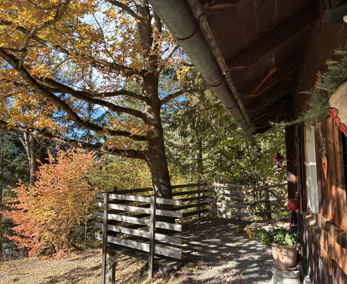 The apartment's inviting wooden terrace, surrounded by colorful autumn trees at the idyllic edge of the forest.