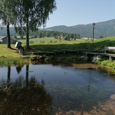 The farm house's outdoor area offers a pond with rustic wooden benches, surrounded by trees and rural hills.