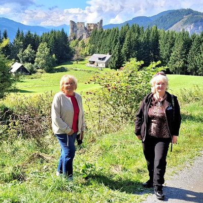 The surrounding area of the Farm House offers views of mountains, pine forests, and historic castle ruins across green fields.