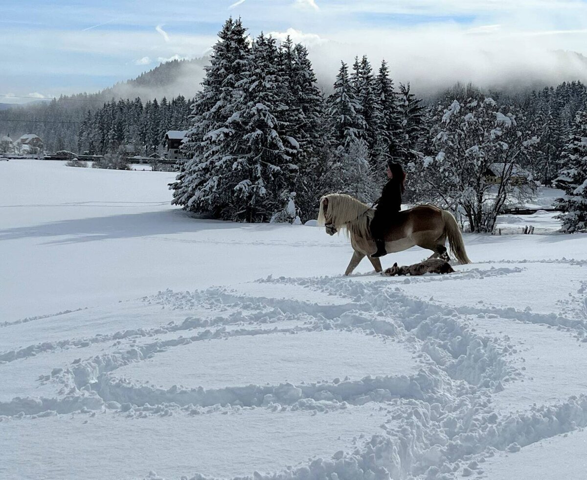 Horse riding in the snow at the farmhouse, with a dog in the snowy landscape.