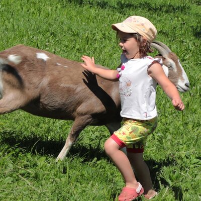 A child pets a goat in the grassy outdoor area at the farmhouse.