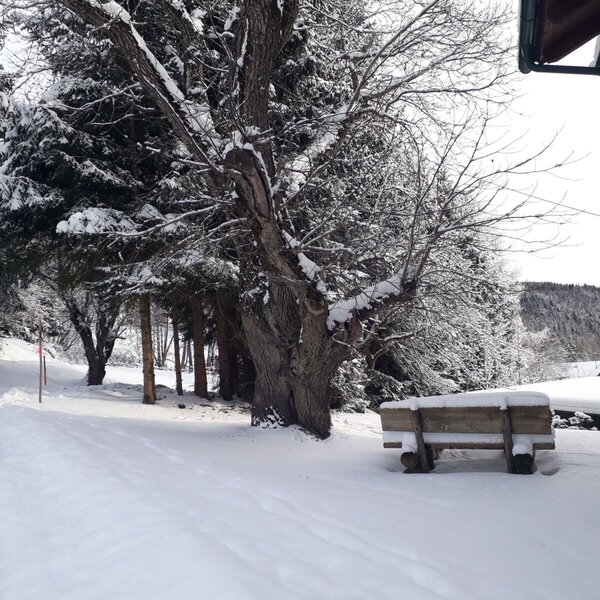 The snow-covered exterior of the farmhouse, featuring paths, trees, and a wooden bench in winter.
