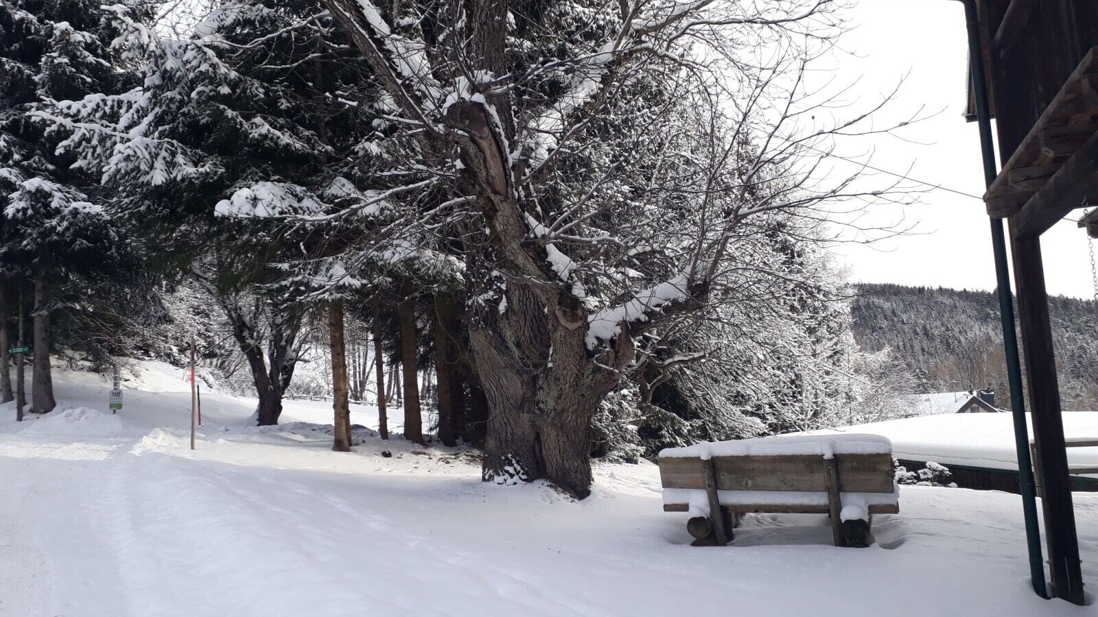 The snow-covered exterior of the farmhouse, featuring paths, trees, and a wooden bench in winter.