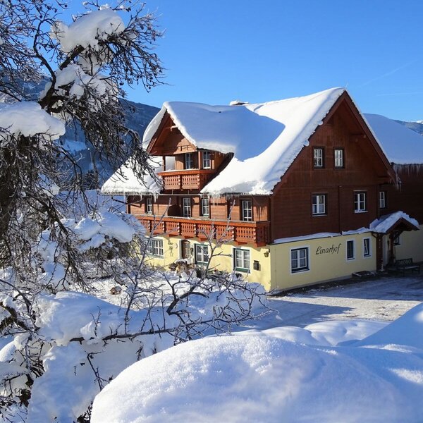 Winter at Linarhof with much snow