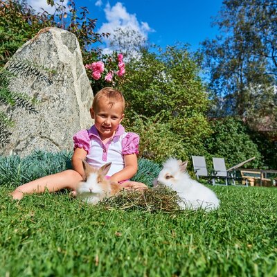 Linharterhof rabbits