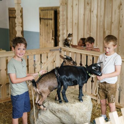 Two boys hold goats in the farmhouse stable, with other children observing.