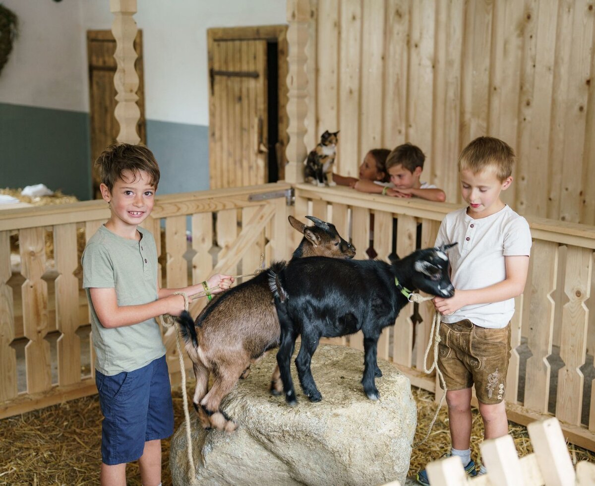 Two boys hold goats in the farmhouse stable, with other children observing.