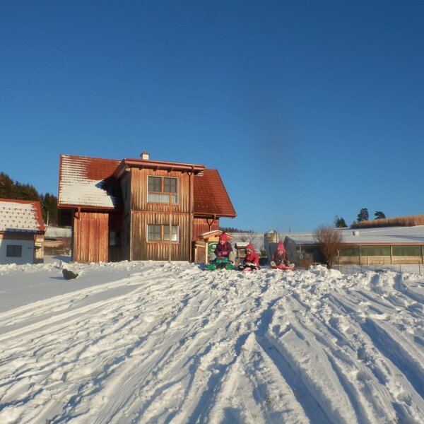 Fun in winter