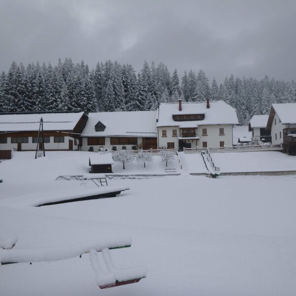 The snow-covered Farm House, featuring a frozen pond in the foreground and a forest backdrop.
