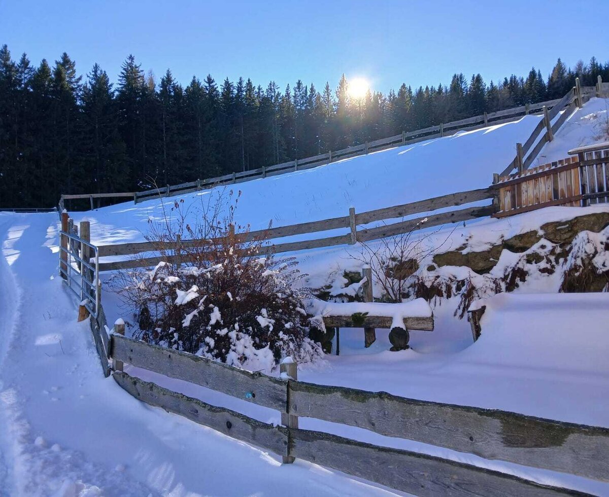 Winter landscape of the Alm featuring a snowy path, wooden fence, and forest in the background.