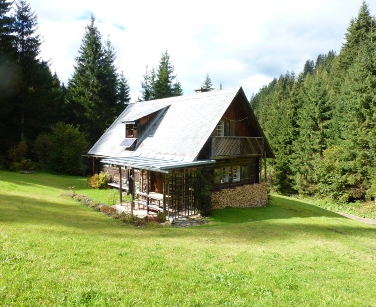 The wooden farmhouse features a balcony and a solar panel on its roof, surrounded by evergreen trees, with firewood stacked at its base.