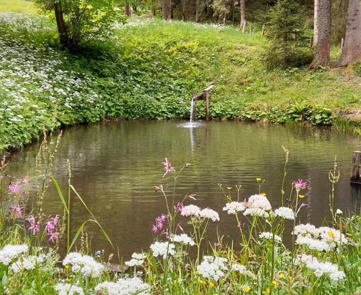 The Bed and Breakfast's pond features a water spout and a small wooden platform, surrounded by flowering meadows and forest.